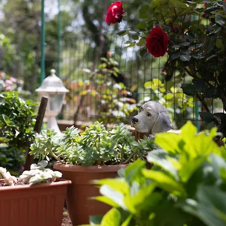 By The Sea Sumartin, Brac - 764 * Sumartin